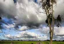 必赢体育：32岁妖卫4年4500万提前续约 季后赛场均12+3+5.